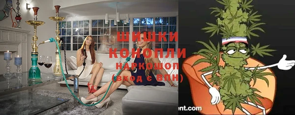 хмурый Бикин