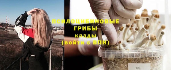 соль ск Алзамай