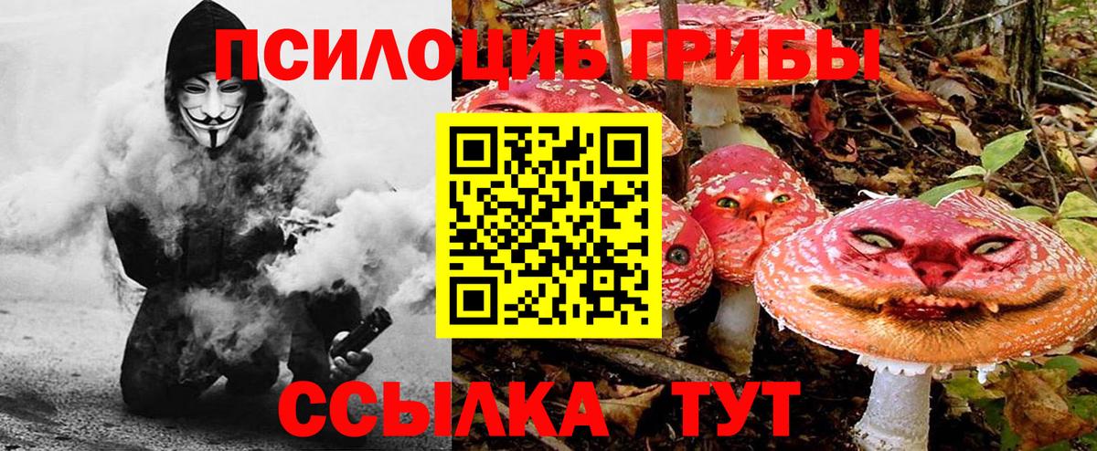 Галлюциногенные грибы Psilocybine cubensis Краснотурьинск