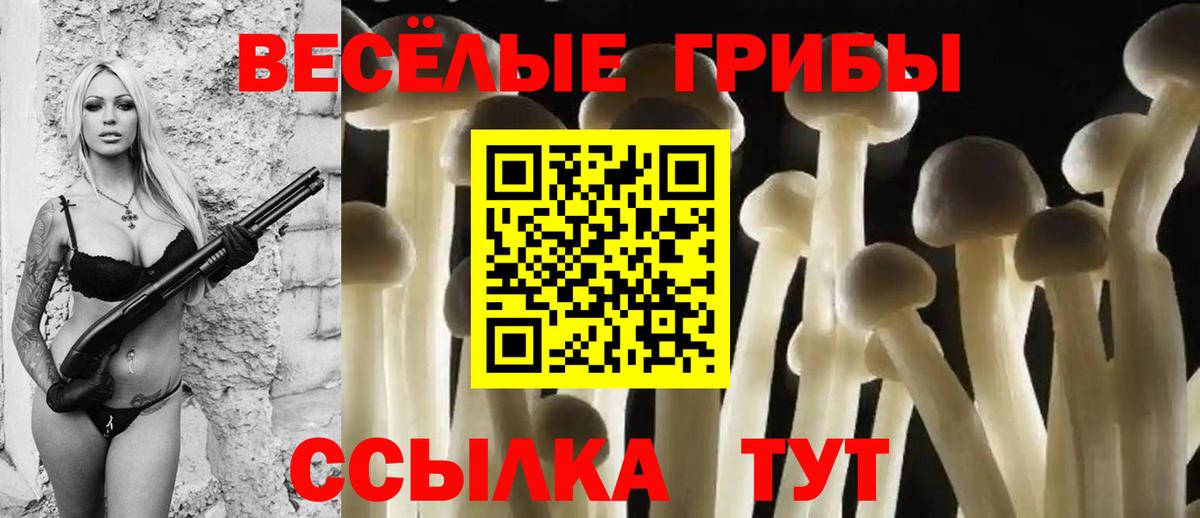Псилоцибиновые грибы прущие грибы  Вход с VPN  Краснотурьинск 